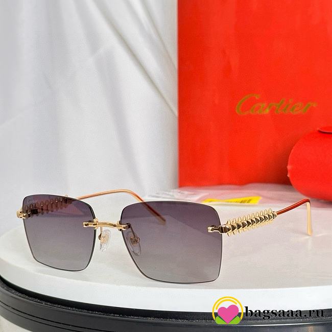 Bagsaaa Cartier Glasses 03 - 1