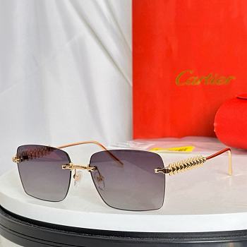 Bagsaaa Cartier Glasses 03