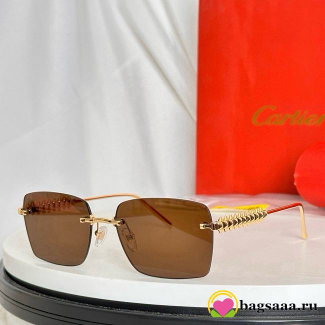 Bagsaaa Cartier Glasses 05 - 1