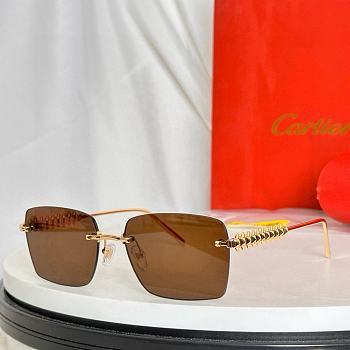 Bagsaaa Cartier Glasses 05