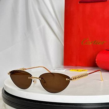 Bagsaaa Cartier Glasses 07