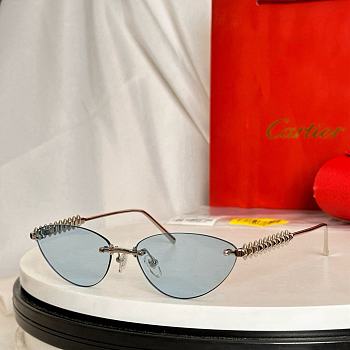 Bagsaaa Cartier Glasses 08