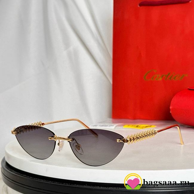 Bagsaaa Cartier Glasses 09 - 1