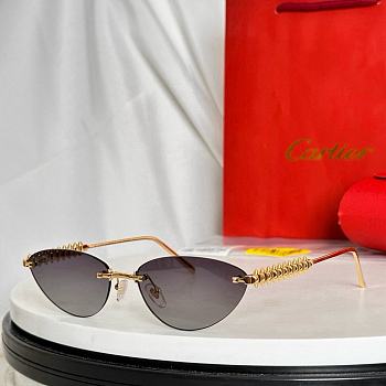 Bagsaaa Cartier Glasses 09