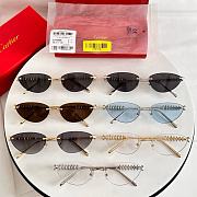 Bagsaaa Cartier Glasses 09 - 2