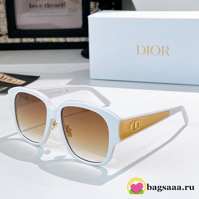Bagsaaa Dior Glasses 08 - 1