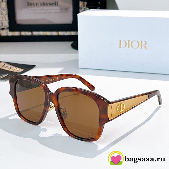 Bagsaaa Dior Glasses 09 - 1