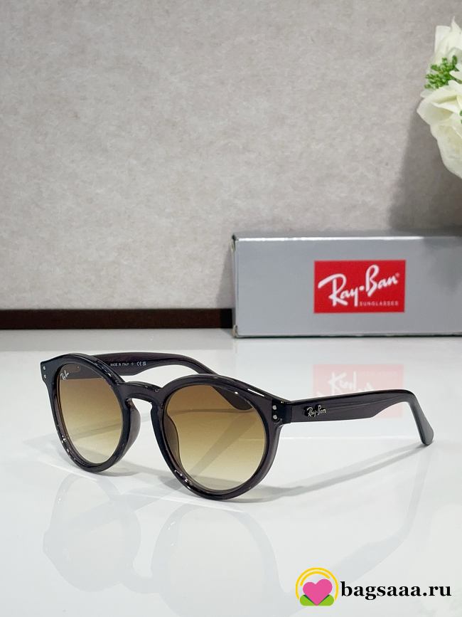 Bagsaaa Ray Ban Glasses 01 - 1