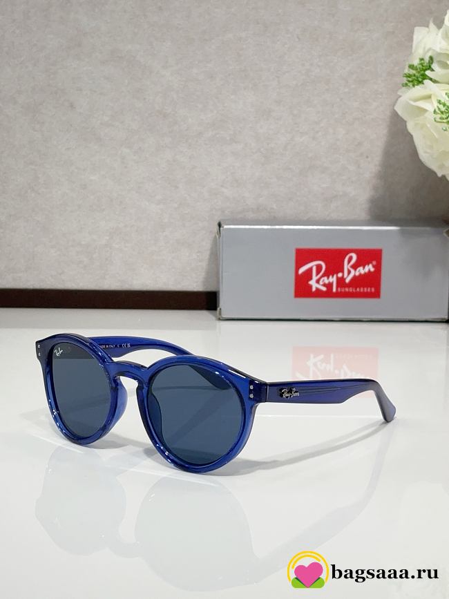 Bagsaaa Ray Ban Glasses 02 - 1