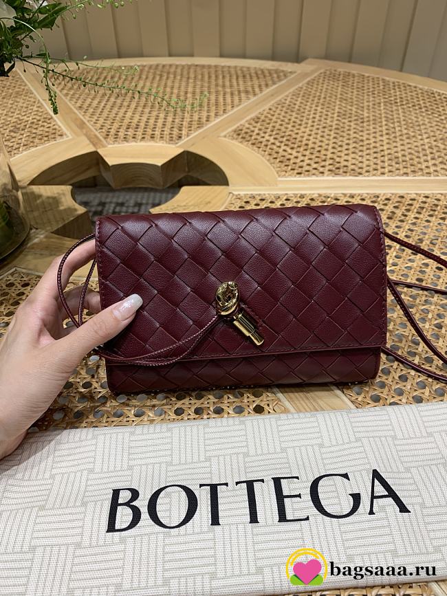 Bagsaaa Bottega Veneta Andiamo Pouch 836940 red - 19cm - 1