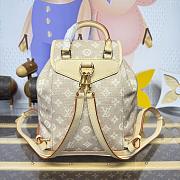 Bagsaaa LV M15135 Montsouris PM Meowgram - 30cm - 3