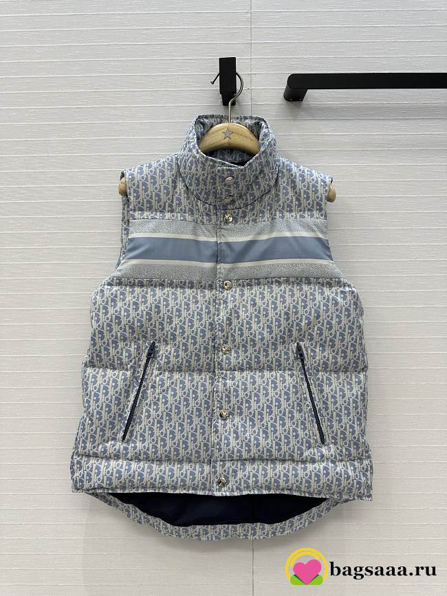 Bagsaaa Dior Oblique puffer vest light gray - 1