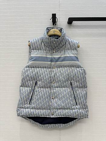 Bagsaaa Dior Oblique puffer vest light gray
