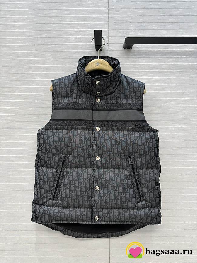 Bagsaaa Dior Oblique puffer vest black - 1