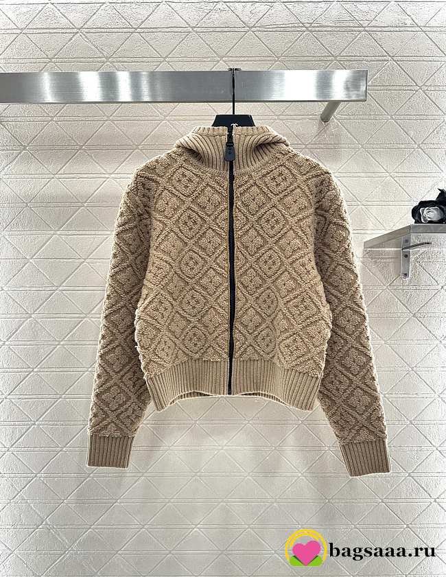 Bagsaaa Louis Vuitton Monogram Toweling Zip-Up Hoodie in camel - 1