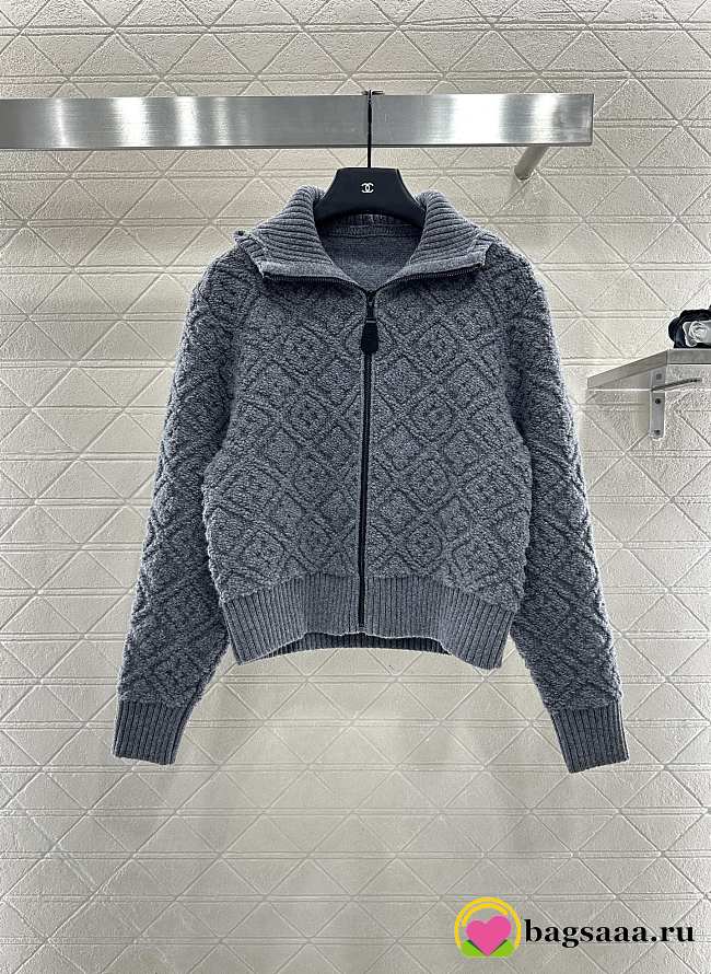 Bagsaaa Louis Vuitton Monogram Toweling Zip-Up Hoodie in gray - 1