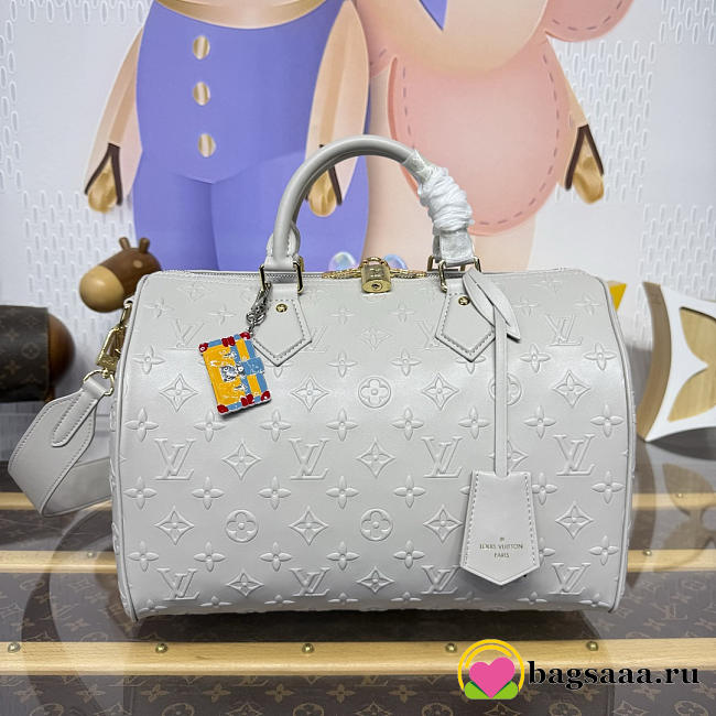 Bagsaaa LV M25670 Speedy Soft 30 Cloud Gray - 30cm - 1