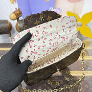 Bagsaaa M15148 Louis Vuitton Travels With Grace Coddington Wallet On Chain Ivy - 23.5cm - 3