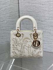 Bagsaaa Lady Dior bag with detailed embroidery and gold-tone - 20cm - 1