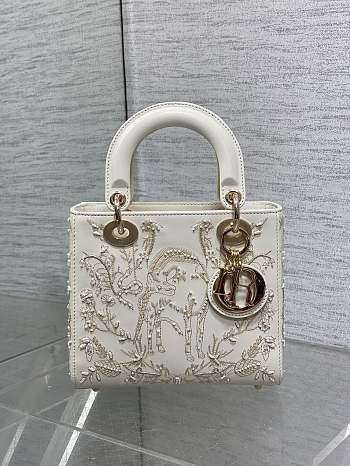 Bagsaaa Lady Dior bag with detailed embroidery and gold-tone - 20cm