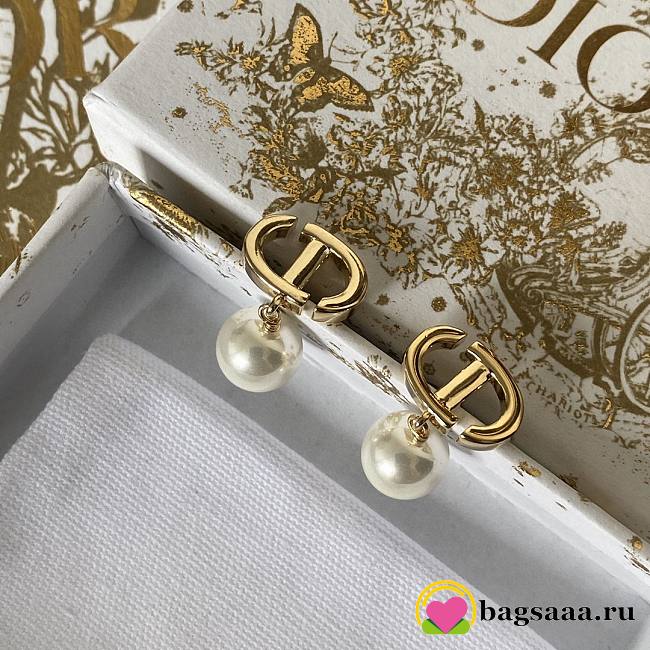 Bagsaaa Dior Earrings 25 - 1