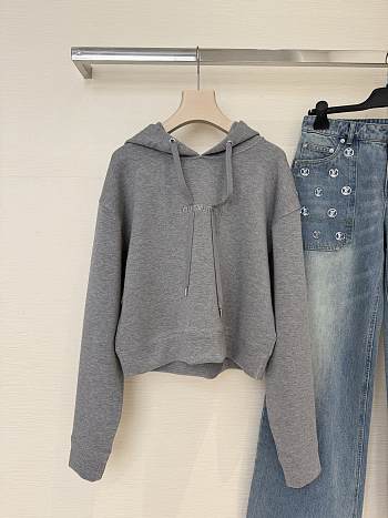 Bagsaaa LV gray cropped hoodie