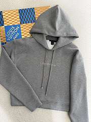Bagsaaa LV gray cropped hoodie - 2