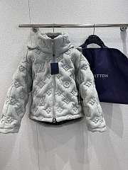 Bagsaaa Louis Vuitton Monogram Boyhood Puffer Jacket in grey - 1