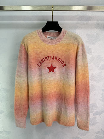 Bagsaaa Dior sleeved sweater in multicolor wool