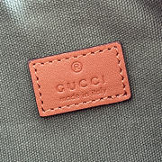 Bagsaaa Gucci Vanity mini bag 861775 - 19cm - 2