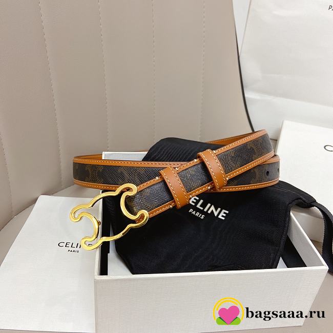 Bagsaaa Celine Medium Triomphe belt in Triomphe canvas and calfskin with gold-toned buckle - 1