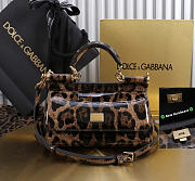Bagsaaa Dolce & Gabbana x Kim Small Sicily top-handle bag in leopard-print - 18cm - 1