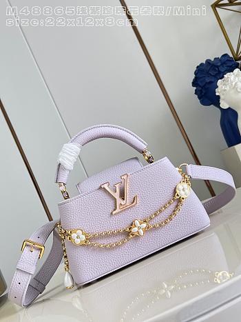Bagsaaa Louis Vuitton M48865 Capucines East-West Mini handbag purple - 22cm