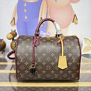 Bagsaaa LV M28379 Speedy 30 Soft Celebration Monogram - 30cm - 1