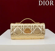 Bagsaaa Miss Caro Top Handle Pouch Metallic Pale Gold-Tone Macrocannage Calfskin - 24cm - 1