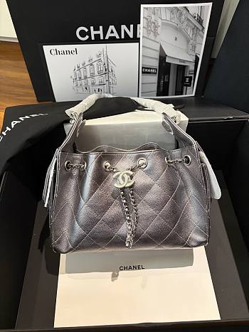 Bagsaaa Chanel 25 Hobo Bag in Metallic Grained Calfskin with Silver - 22cm
