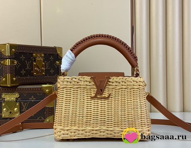 Bagsaaa LV M14365 Capucines Mini brown - 21cm - 1