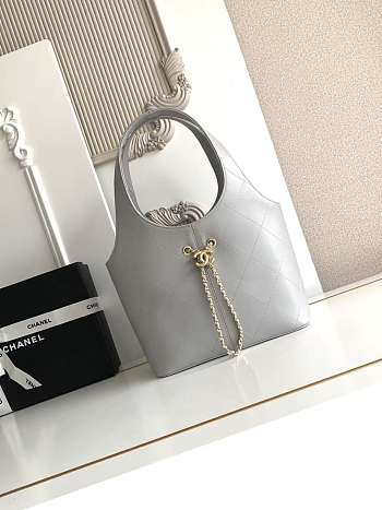 Bagsaaa Chanel Spring Summer 2026 collection Shopping Bag AS6108 gray - 35cm